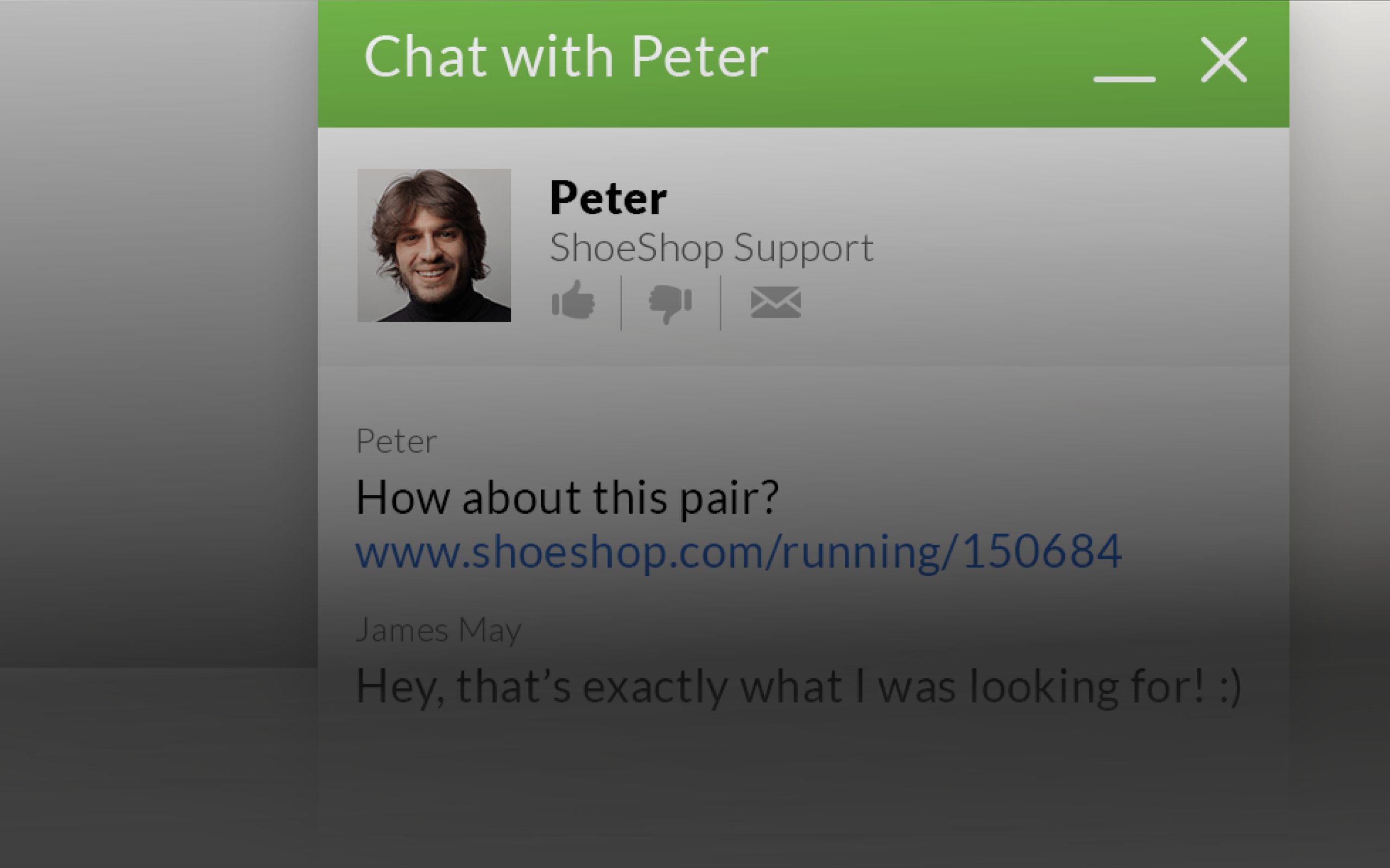 Live Chat Window